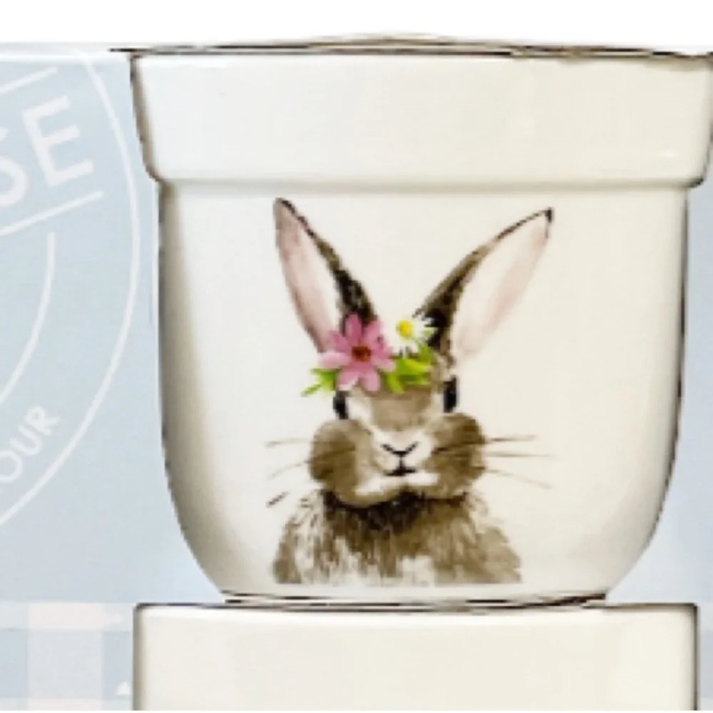 NEW BakeHouse BUNNY Double Sided Ramekin Set/4 🐰🥕🐰